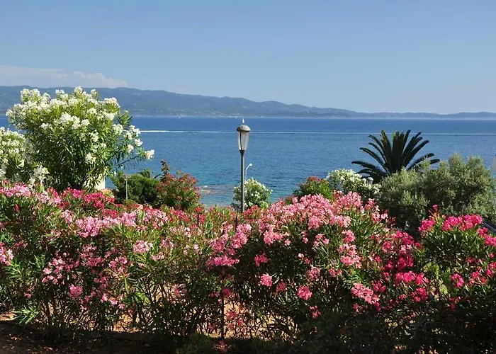 Evasion Marine - T2 Vue - Terrasse - à Pied Appartement Ajaccio (Corsica)