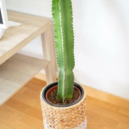 Evasion Marine - T2 Vue - Terrasse - A Pied Apartment