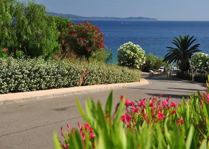 Evasion Marine - T2 Vue - Terrasse - A Pied Apartment