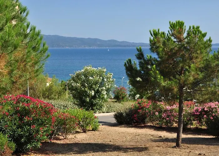 Evasion Marine - T2 Vue - Terrasse - A Pied