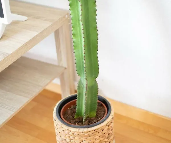 Evasion Marine - T2 Vue - Terrasse - A Pied Apartment